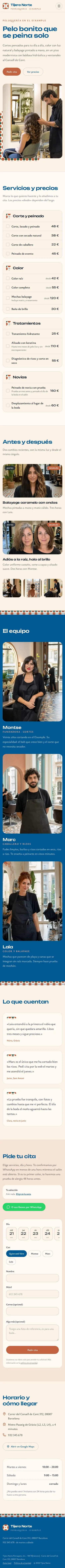 Plantilla de web para peluquería: Ansicht am Smartphone